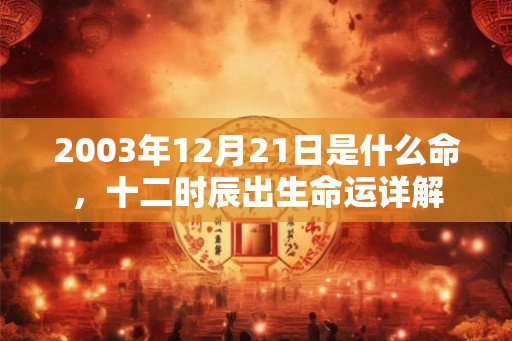 2003年12月21日是什么命，十二时辰出生命运详解