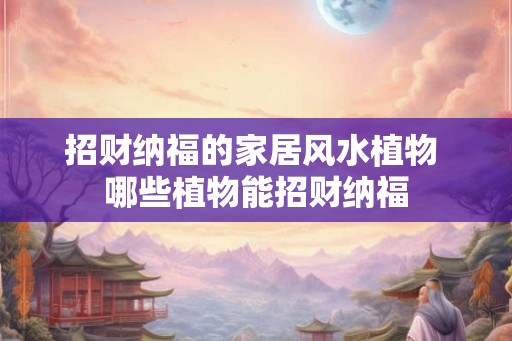 招财纳福的家居风水植物 哪些植物能招财纳福