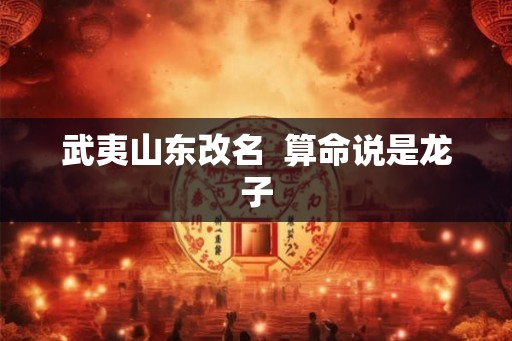 武夷山东改名  算命说是龙子