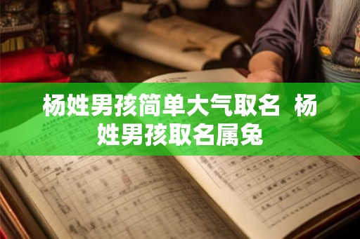 杨姓男孩简单大气取名  杨姓男孩取名属兔