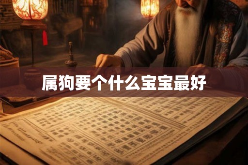 属狗要个什么宝宝最好
