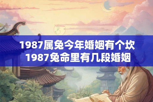 1987属兔今年婚姻有个坎 1987兔命里有几段婚姻