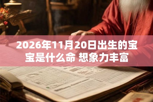 2026年11月20日出生的宝宝是什么命 想象力丰富