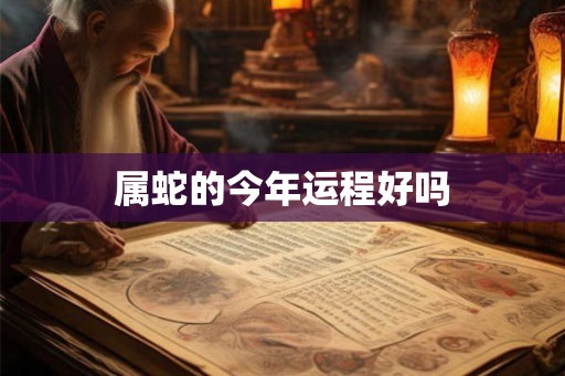 属蛇的今年运程好吗