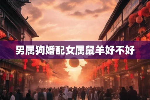 男属狗婚配女属鼠羊好不好 男属狗婚配女属鼠羊好不好