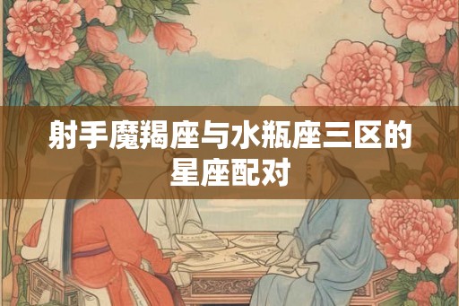 射手魔羯座与水瓶座三区的星座配对
