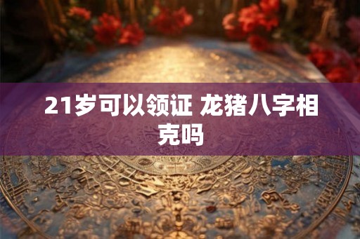 21岁可以领证 龙猪八字相克吗