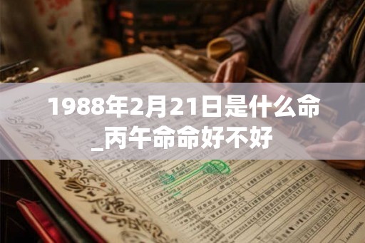 1988年2月21日是什么命_丙午命命好不好