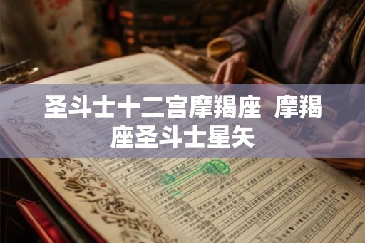 圣斗士十二宫摩羯座  摩羯座圣斗士星矢