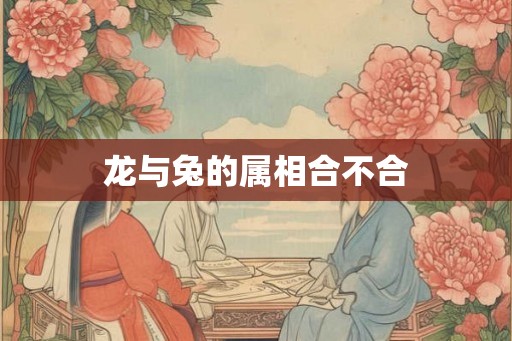 龙与兔的属相合不合