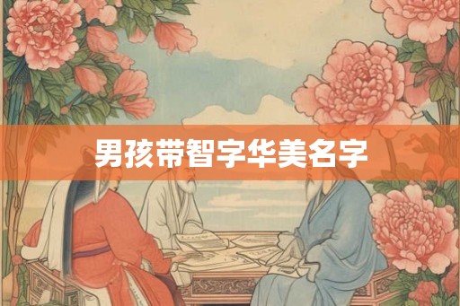 男孩带智字华美名字