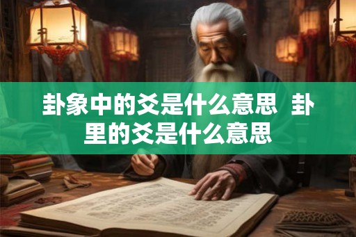 卦象中的爻是什么意思  卦里的爻是什么意思