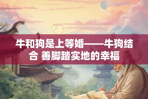 牛和狗是上等婚——牛狗结合 善脚踏实地的幸福