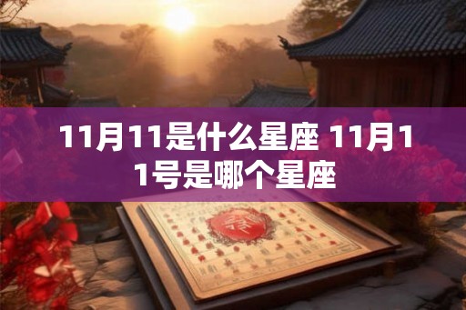 11月11是什么星座 11月11号是哪个星座