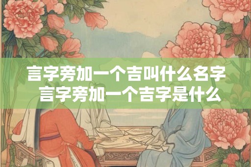 言字旁加一个吉叫什么名字  言字旁加一个吉字是什么字