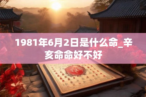 1981年6月2日是什么命_辛亥命命好不好