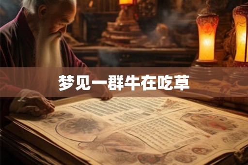 梦见一群牛在吃草