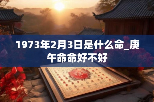 1973年2月3日是什么命_庚午命命好不好
