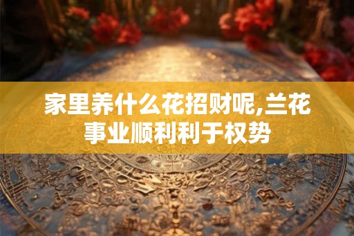 家里养什么花招财呢,兰花事业顺利利于权势