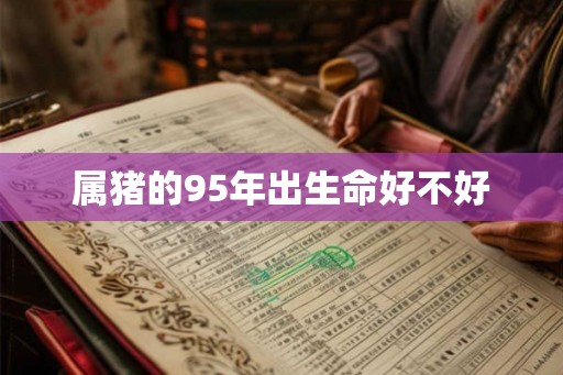 属猪的95年出生命好不好