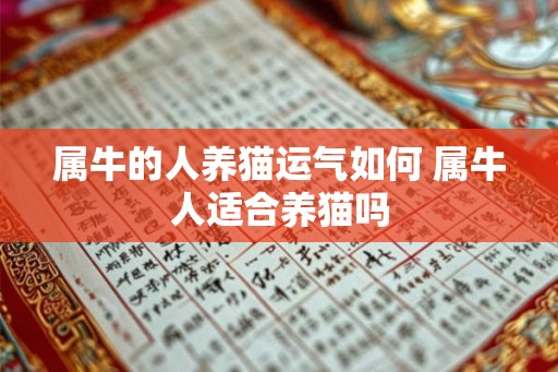 属牛的人养猫运气如何 属牛人适合养猫吗