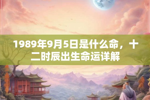 1989年9月5日是什么命，十二时辰出生命运详解