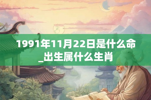 1991年11月22日是什么命_出生属什么生肖