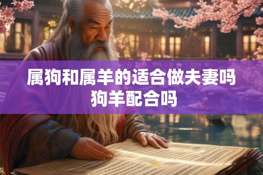 属狗和属羊的适合做夫妻吗 狗羊配合吗 属狗和属羊的适合做夫妻吗 狗羊配合吗