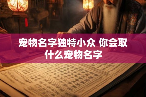 宠物名字独特小众 你会取什么宠物名字