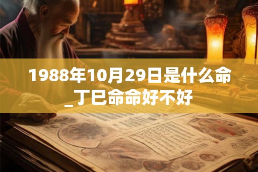 1988年10月29日是什么命_丁巳命命好不好