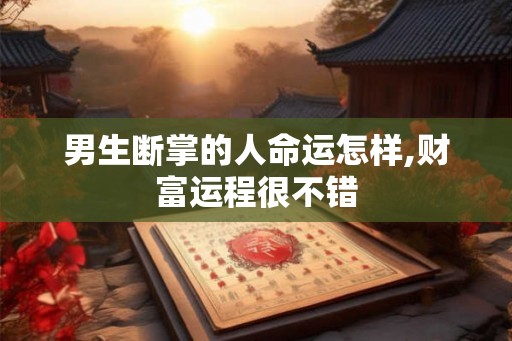 男生断掌的人命运怎样,财富运程很不错