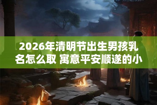 2026年清明节出生男孩乳名怎么取 寓意平安顺遂的小名推荐