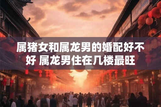 属猪女和属龙男的婚配好不好 属龙男住在几楼最旺