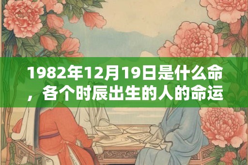 1982年12月19日是什么命，各个时辰出生的人的命运