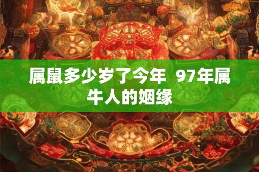 属鼠多少岁了今年  97年属牛人的姻缘