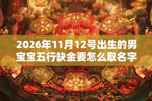 2026年11月12号出生的男宝宝五行缺金要怎么取名字