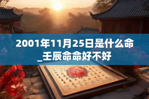 2001年11月25日是什么命_壬辰命命好不好