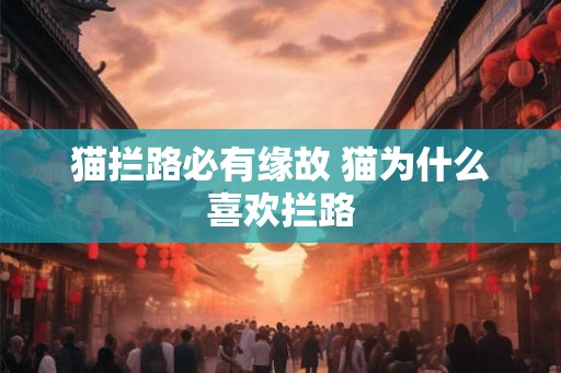 猫拦路必有缘故 猫为什么喜欢拦路