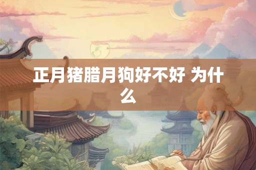 正月猪腊月狗好不好 为什么