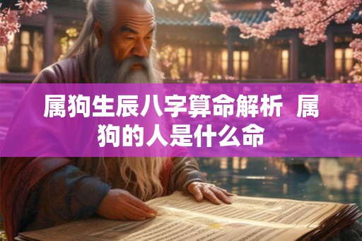 属狗生辰八字算命解析  属狗的人是什么命