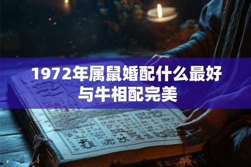 1972年属鼠婚配什么最好 与牛相配完美