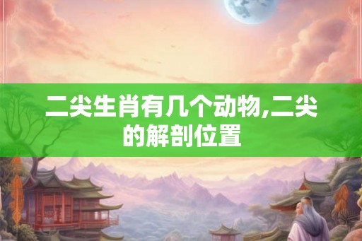 二尖生肖有几个动物,二尖的解剖位置
