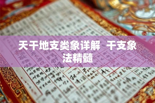 天干地支类象详解  干支象法精髓