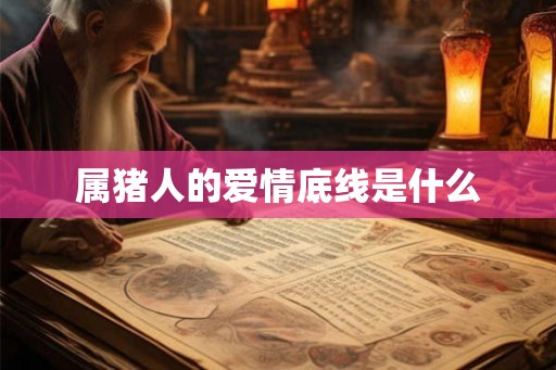 属猪人的爱情底线是什么