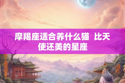 摩羯座适合养什么猫  比天使还美的星座