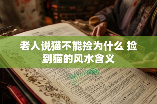 老人说猫不能捡为什么 捡到猫的风水含义