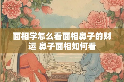 面相学怎么看面相鼻子的财运 鼻子面相如何看 面相学怎么看面相鼻子的财运 鼻子面相如何看
