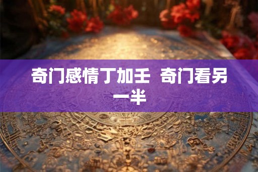 奇门感情丁加壬  奇门看另一半
