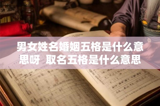 男女姓名婚姻五格是什么意思呀  取名五格是什么意思