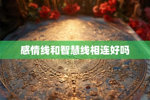 感情线和智慧线相连好吗